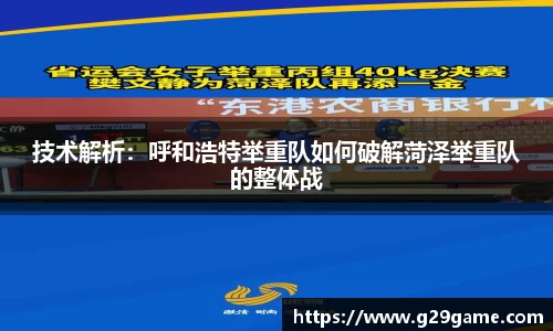 凤凰联盟最新官方网站
