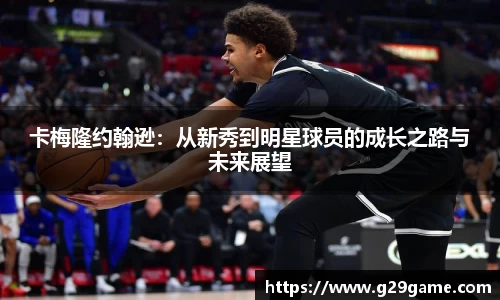 凤凰联盟官方网站
